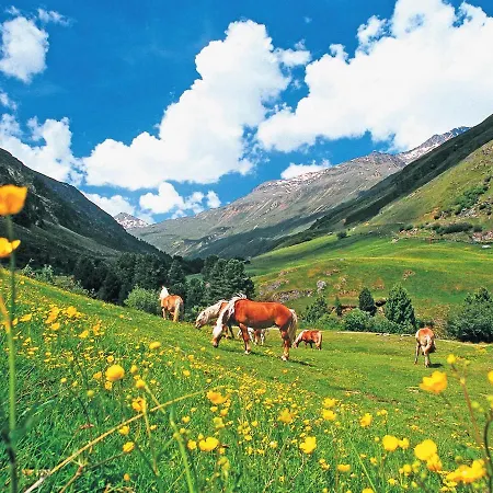 Quaint In Laengenfeld With Sauna * 胡本